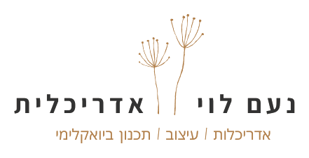 נעם לוי אדריכלית – אדריכלות, עיצוב, תכנון ביואקלימי